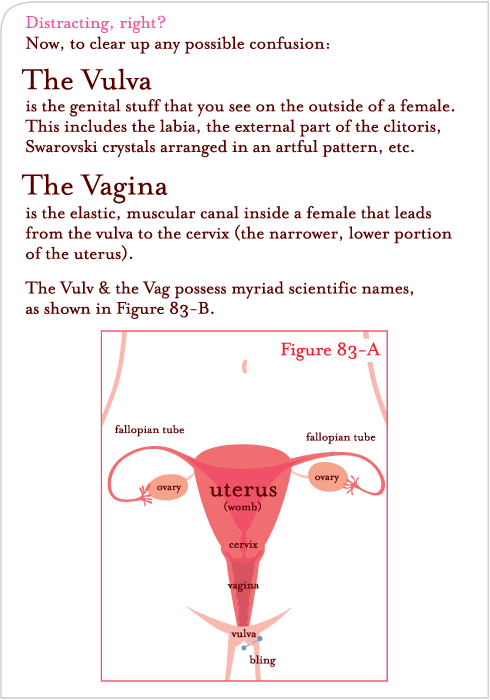 Vaginas Birthday Card