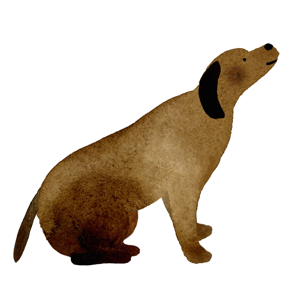 Brown Dog Sticker