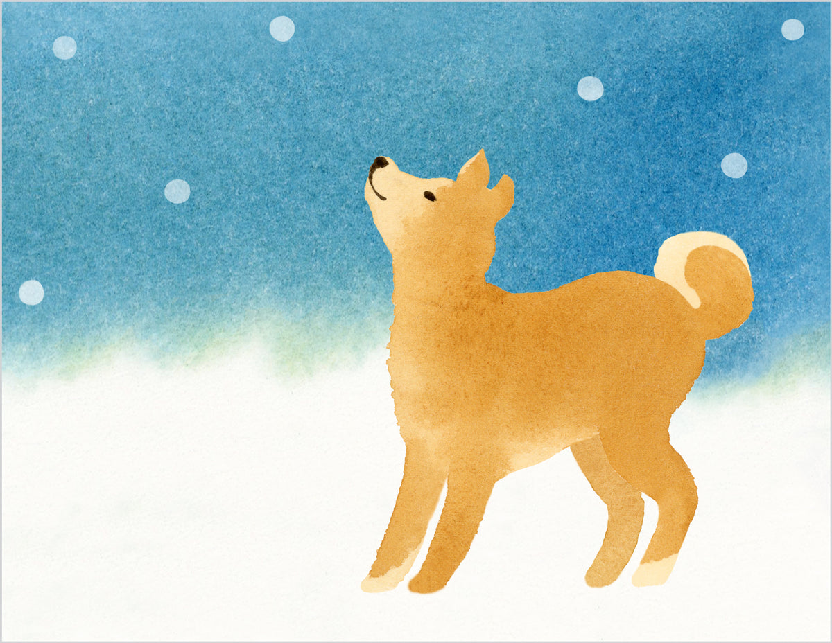 Dog Holiday Card:  Akita in Snow