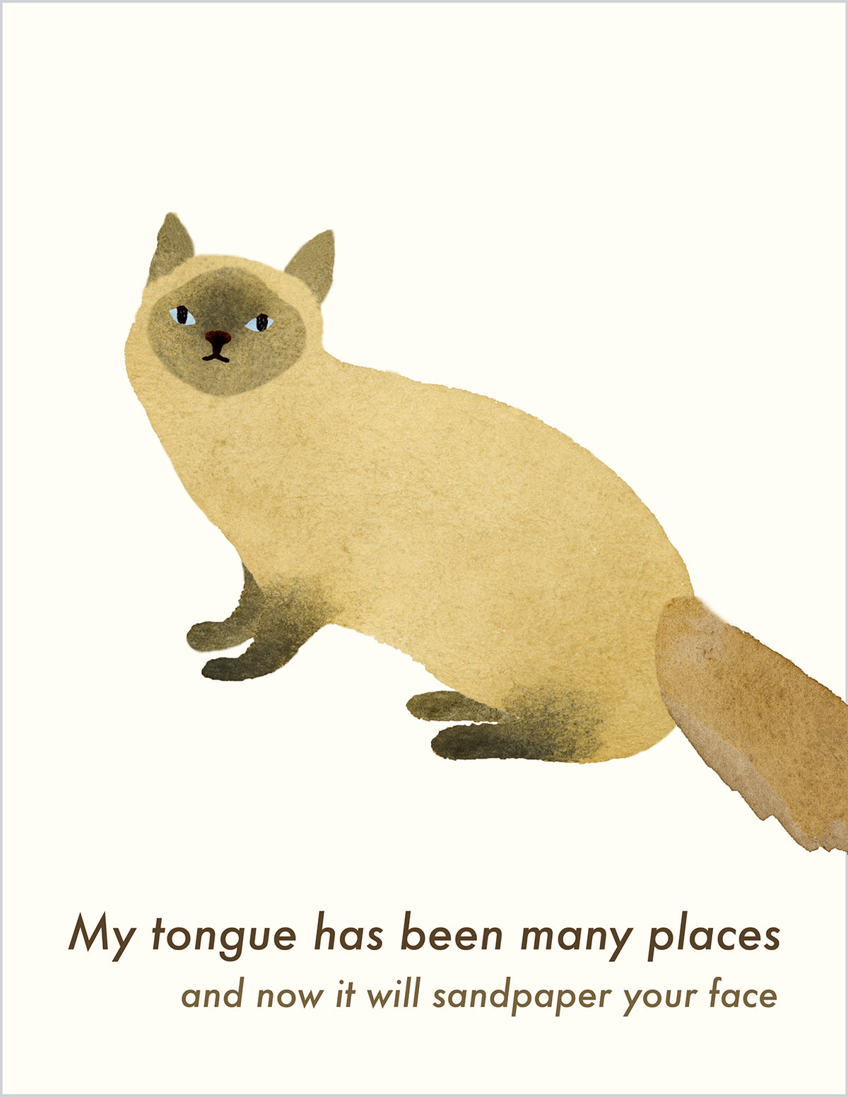 Cat Birthday Card:  Sandpaper