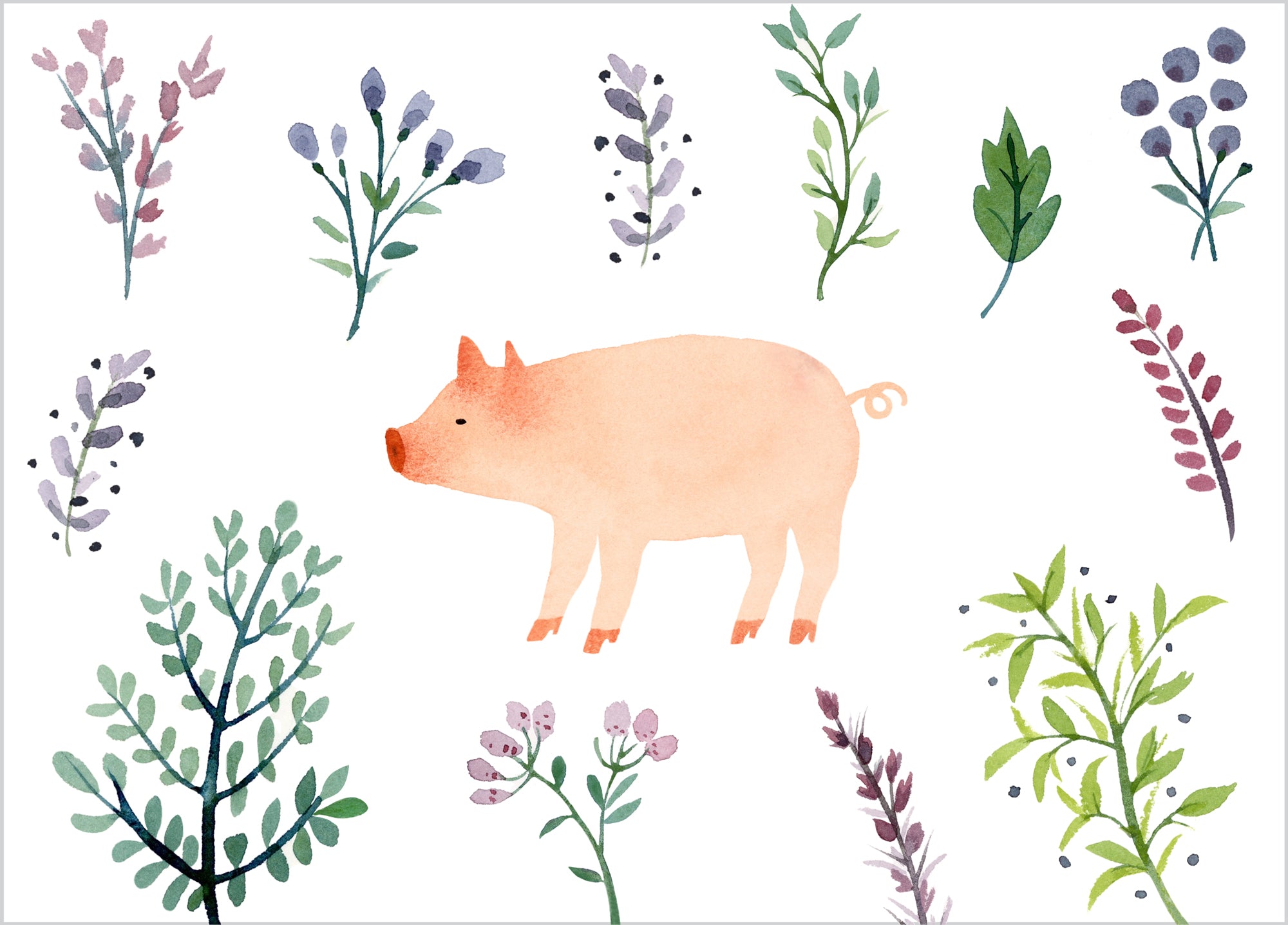 Pig Watercolor Card