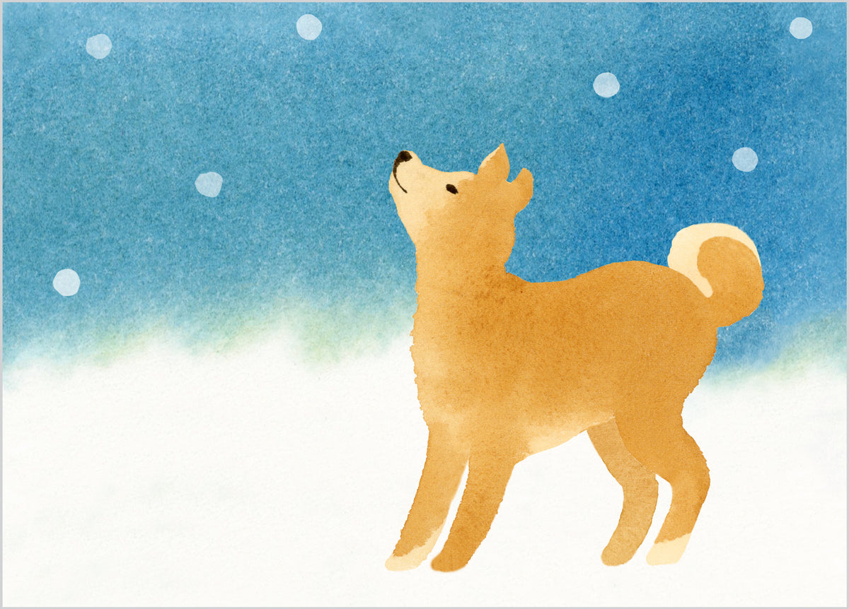 Dog Holiday Card:  Akita in Snow