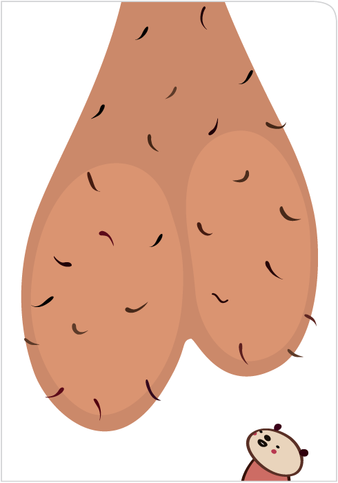 Balls Nuts Testicles Scrotum Birthday Card